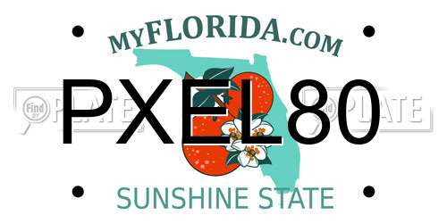PXEL80 Florida License Plate
