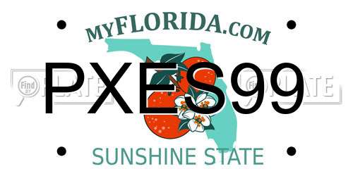 PXES99 Florida License Plate