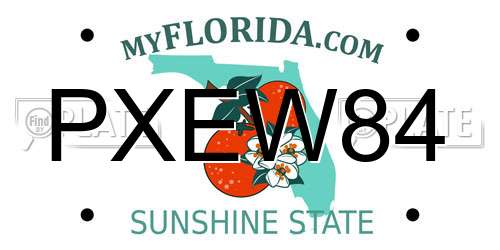 PXEW84 Florida License Plate