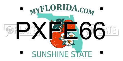 PXFE66 Florida License Plate