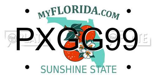 PXGG99 Florida License Plate