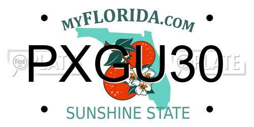 PXGU30 Florida License Plate