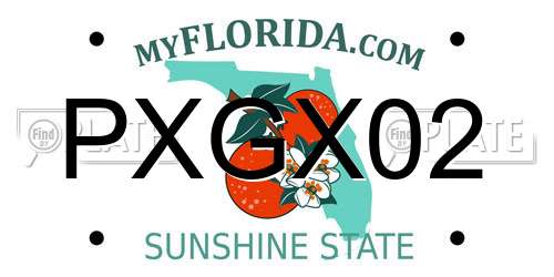 PXGX02 Florida License Plate