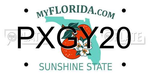 PXGY20 Florida License Plate