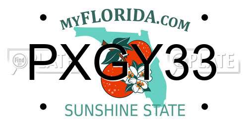 PXGY33 Florida License Plate