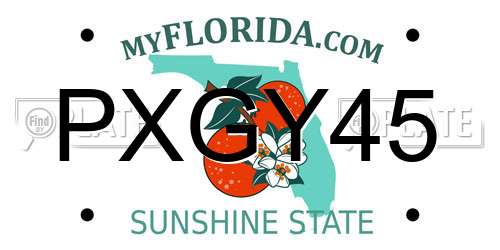 PXGY45 Florida License Plate