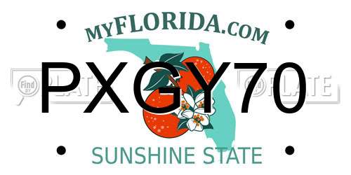PXGY70 Florida License Plate