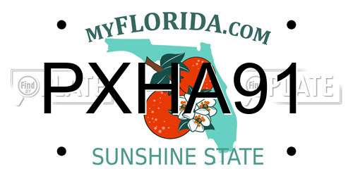 PXHA91 Florida License Plate