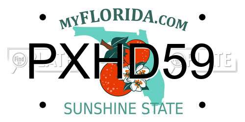PXHD59 Florida License Plate