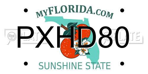 PXHD80 Florida License Plate