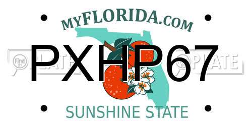 PXHP67 Florida License Plate