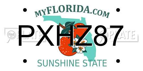 PXHZ87 Florida License Plate