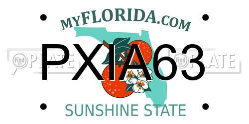 PXIA63 Florida License Plate