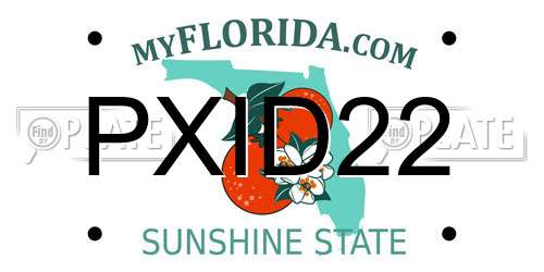 PXID22 Florida License Plate