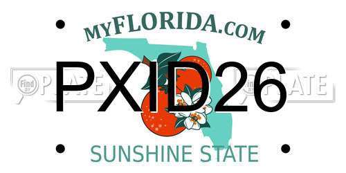 PXID26 Florida License Plate
