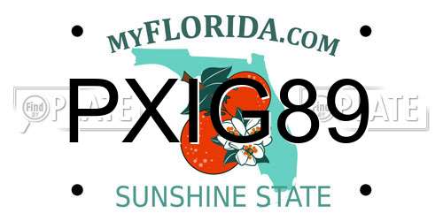PXIG89 Florida License Plate