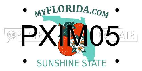 PXIM05 Florida License Plate