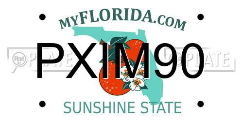PXIM90 Florida License Plate