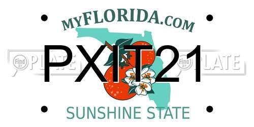 PXIT21 Florida License Plate