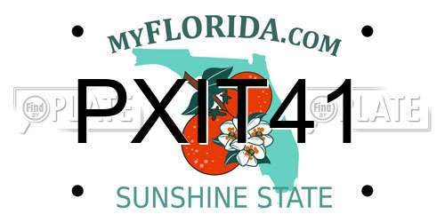 PXIT41 Florida License Plate
