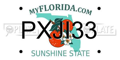 PXJI33 Florida License Plate