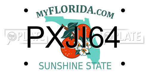PXJI64 Florida License Plate