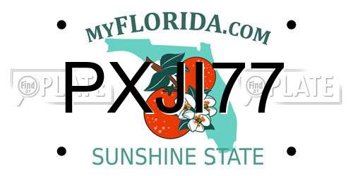PXJI77 Florida License Plate