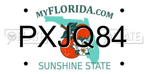 PXJQ84 Florida License Plate