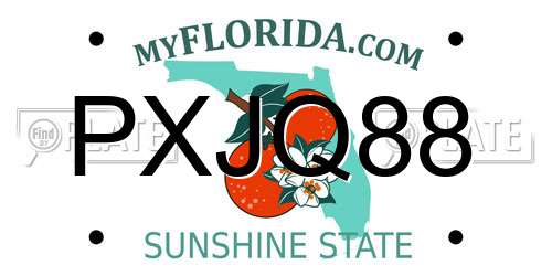 PXJQ88 Florida License Plate