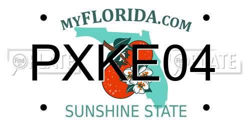 PXKE04 Florida License Plate