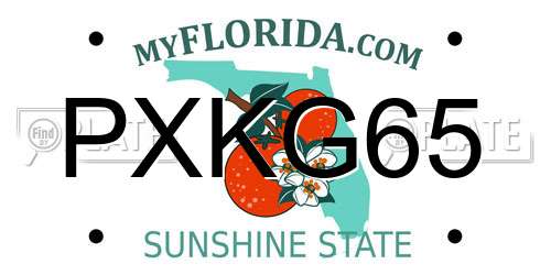 PXKG65 Florida License Plate