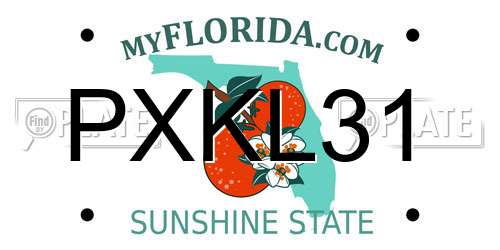 PXKL31 Florida License Plate