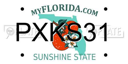 PXKS31 Florida License Plate