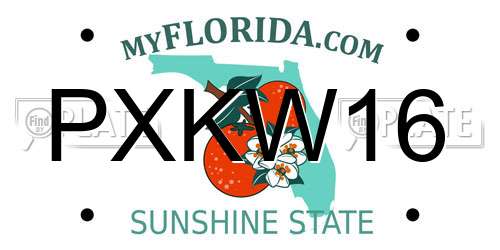 PXKW16 Florida License Plate