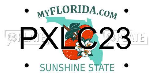 PXLC23 Florida License Plate