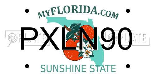 PXLN90 Florida License Plate