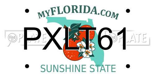 PXLT61 Florida License Plate