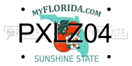PXLZ04 Florida License Plate