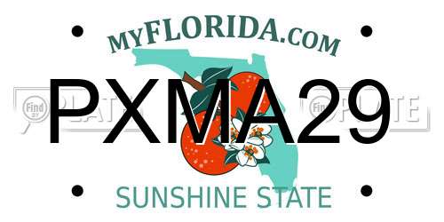 PXMA29 Florida License Plate