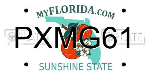 PXMG61 Florida License Plate
