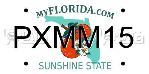 PXMM15 Florida License Plate