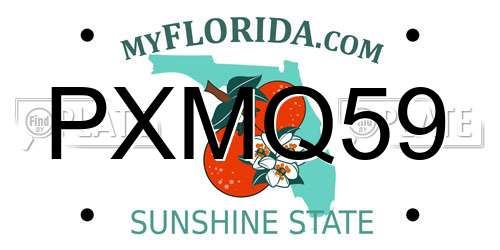 PXMQ59 Florida License Plate