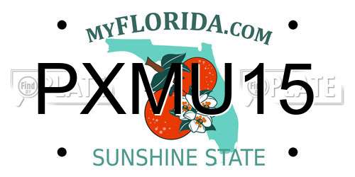 PXMU15 Florida License Plate