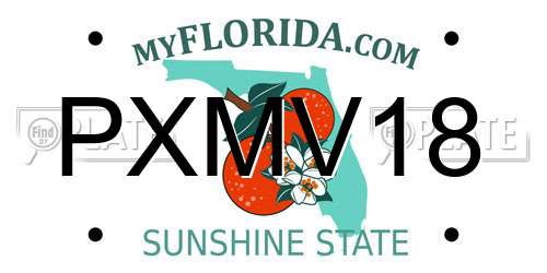 PXMV18 Florida License Plate