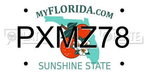 PXMZ78 Florida License Plate