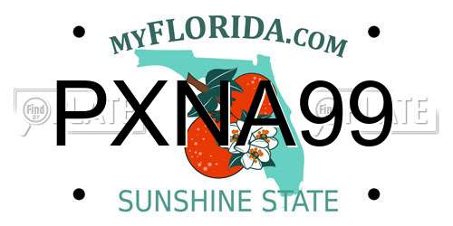 PXNA99 Florida License Plate