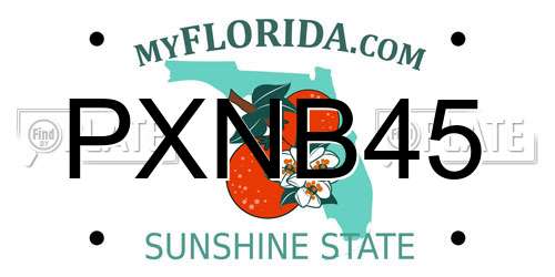 PXNB45 Florida License Plate
