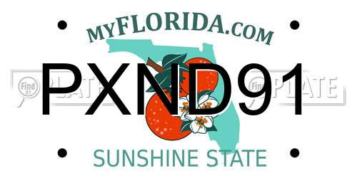 PXND91 Florida License Plate