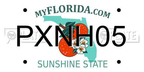 PXNH05 Florida License Plate