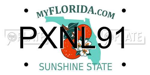 PXNL91 Florida License Plate